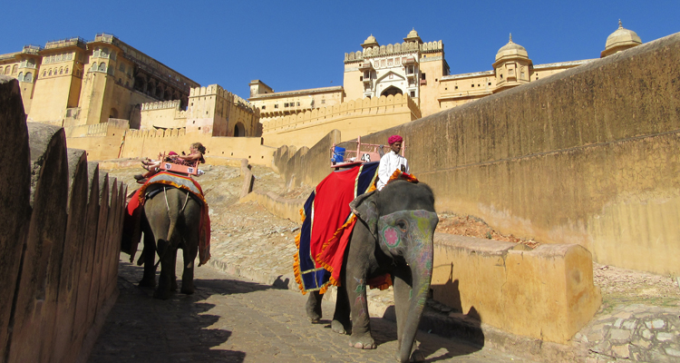 Delhi Jaipur Same Day Tour