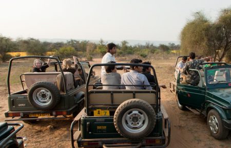 Delhi Sariska Day Tour