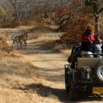 Golden Triangle Tour with Ranthambore