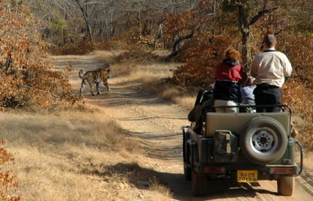 Golden Triangle Tour with Ranthambore