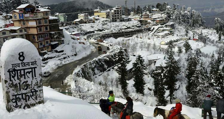 Shimla Kufri Naldehra Tour