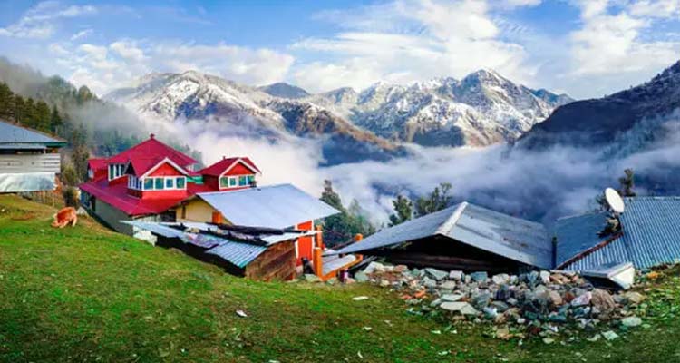 chail tour package