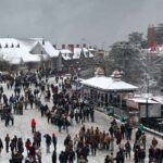 Shimla Kufri Chail Tour Package