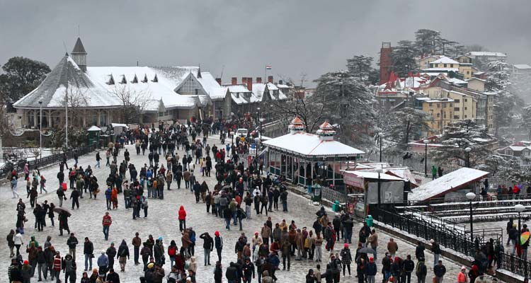 Shimla Kufri Chail Tour Package