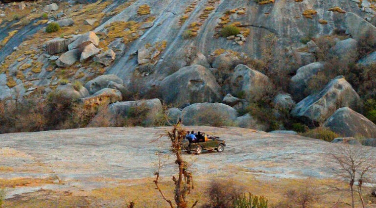 Perwa Rajasthan Jawai Leopard Hills Sanctuary at Bera, Rajasthan - The Complete Travel ...