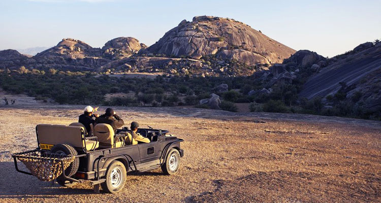 leopard safari in udaipur