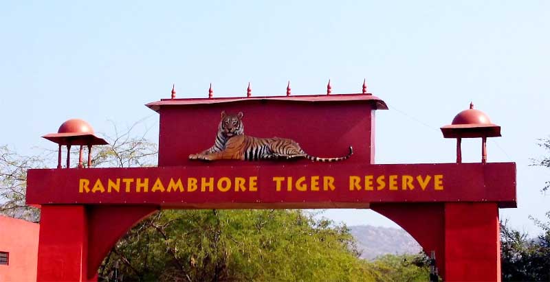 Ranthambore Tiger Reserve