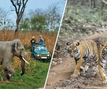 Jim Corbett Ranthambore tour with Agra