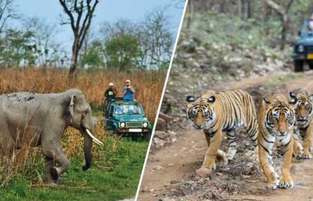 Jim Corbett Ranthambore tour with Agra