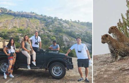 Jawai Leopard Safari Timings, Price, and Activities