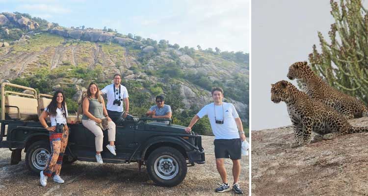 Jawai Leopard Safari Timings, Price, and Activities