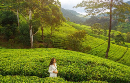 South India Travel Guide – Everything You Need to Know Before You Go