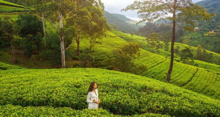 South India Travel Guide – Everything You Need to Know Before You Go